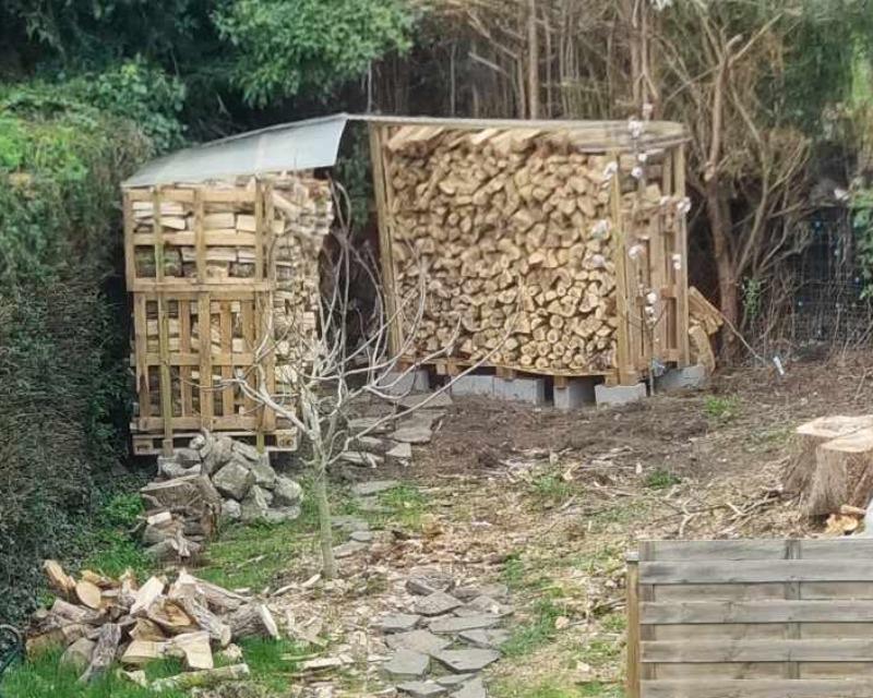 Accueil de la faune